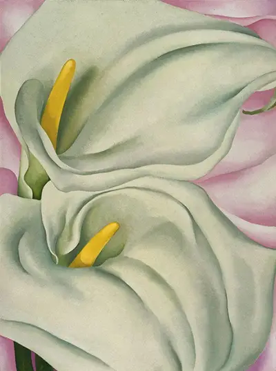 Two Calla Lilies on Pink Georgia O'Keeffe